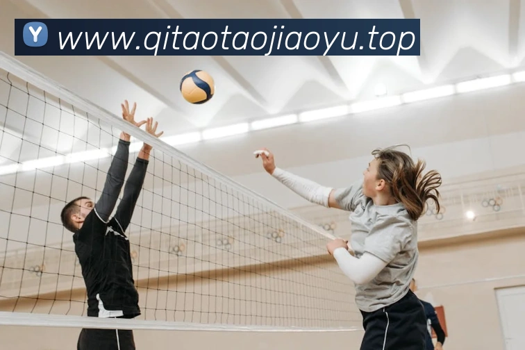 多媒体互动体验